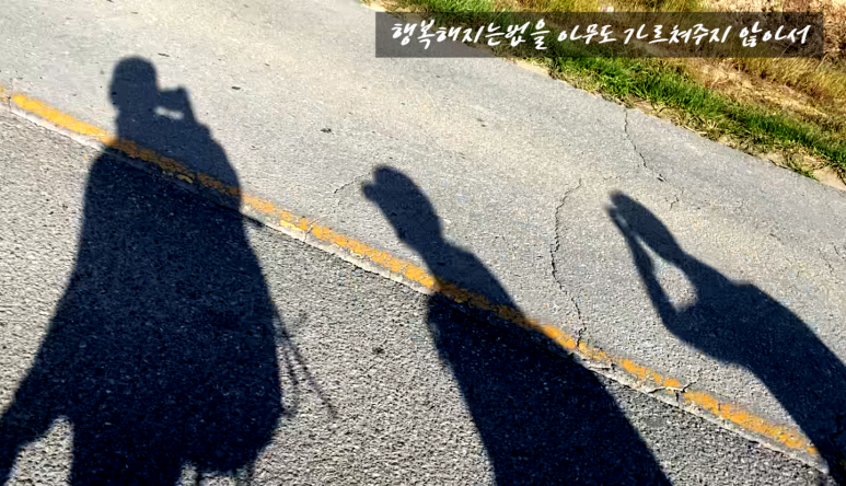 행복해지는법을 아무도 가르쳐주지 않아서